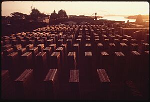 STACKED LUMBER - NARA - 542866
