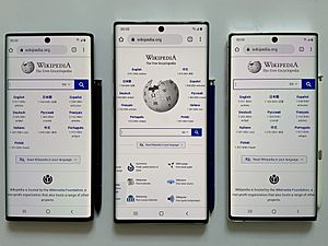 Samsung Galaxy Note 10 (Wiki)