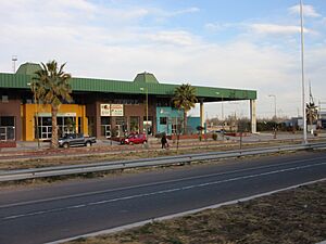 San Carlos, Mendoza Province, Argentina - panoramio.jpg