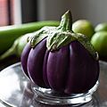 Segmented aubergine Thailand