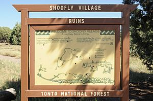 Shoofly Village Ruins, A Journey Back in Time