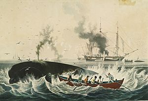 South Sea Whale Fishery, lithographic print painted by Garnerey, engraved by E. Duncan, published 1835