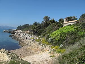 South coast of Saint-Honorat island near the chapelle Saint-Pierre