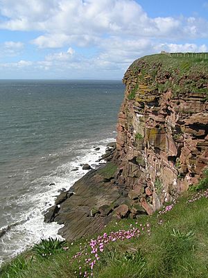 St Bees North Head cliffs