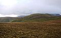 Stybarrow Dodd from Gt D