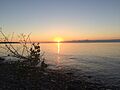 Sunset at J.W. Wells State Park