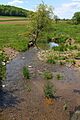 Susquehecka Creek looking upstream