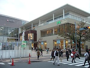 Tama-plaza Station-2009.10.29 5