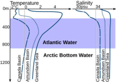 Temperature and salinity profiles in the Arctic Ocean