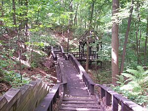 Towners Woods gazebo