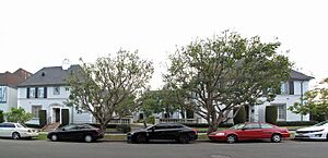 Villa Serrano, 930-940 S Serrano, Los Angeles