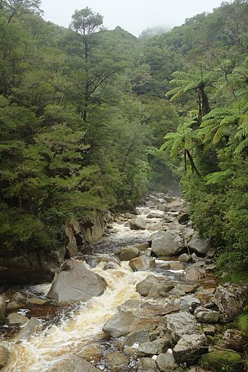 Wainui River on a rainy day.jpg