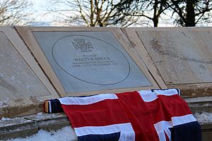 Walter mills vc