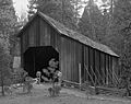 Wawona Covered Bridge, Spanning South Fork Merced River on service road, Wawona (Mariposa County, California)