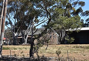 Weir Views Exford Homestead Barn 002