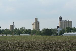 Weldon, Illinois Water tower and Grain Elevators