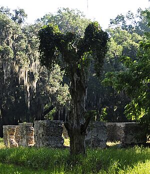 White Hall Plantation Ruins
