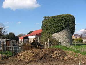 Windmill at Carnanbregagh, Dundalk - geograph.org.uk - 762322