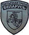 Тактычная група "Беларусь"