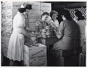 636.081 Packing canned meat, Westfield Freezing Works.jpg