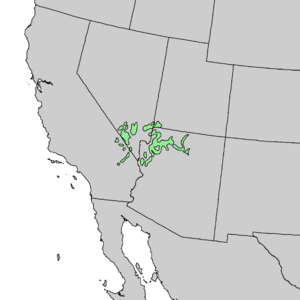 Map of the southwestern United States showing highlighted range centered in southern Nevada and extending into adjoining states