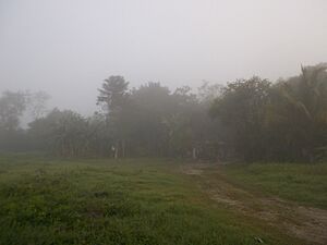 Alamo, Veracruz (3)