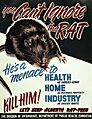 Alberta Department of Public Health Rat Poster (26497442131)