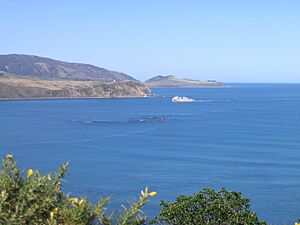 Barrett Reef