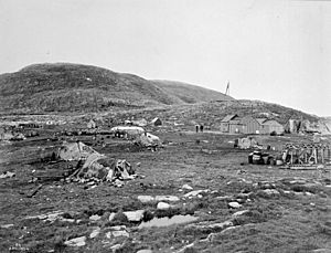 Blacklead Island Whaling Station