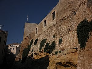 Castell d'El Catllar 7.jpg