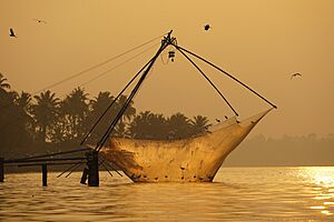 Chinese Fishing Net Raising Birds Sunrise Ashtamudi Kollam Mar22 A7C 01784