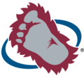 Colorado Avalanche Yeti Foot Logo