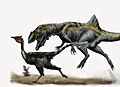 Concavenator chasing Pelecanimimus by durbed