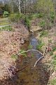 Cox Run looking upstream