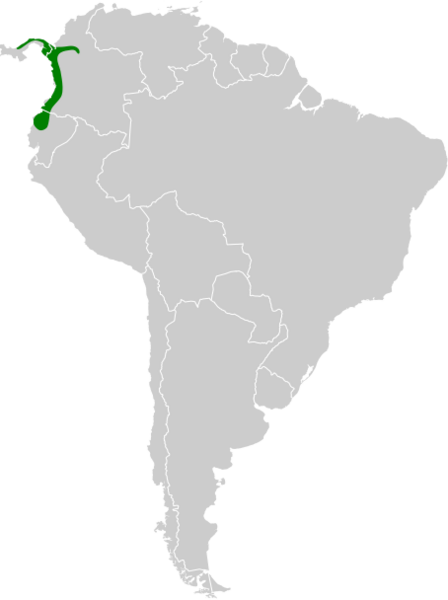 Cryptoleucopteryx plumbea map
