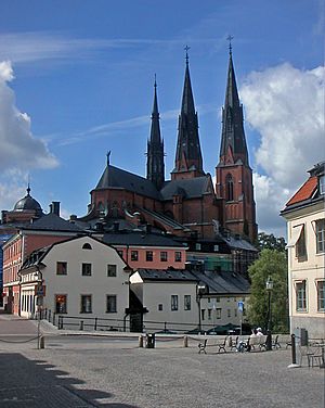 Domkyrkan i Uppsalas stadsbild