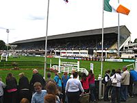 Dublin Horse Show 2008 - Anglesea Stand