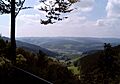 Elzach (1)
