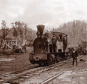 Railway Valdivia – Los Lagos – Antilhue