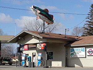 Fish sign on shop, Rockville, Minnesota.jpg