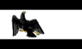 Flag of Prussia (1918–1933)