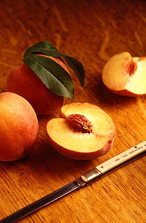 Flavorcrest peaches