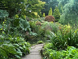Path through the rock garden surrounded by herbaceous perennials