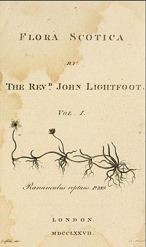 Flora Scotica by The Revd John Lightfoot title page
