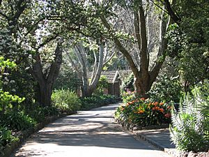 Footscray Park path