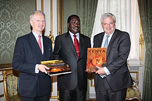 Foreign Office Minister Henry Bellingham meeting Kenyan Prime Minister Raila Odinga in London, 7 July 2011. (5911639399)