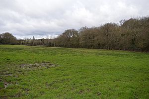 Frieth Meadows 2.JPG
