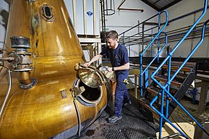 Glen Scotia Still