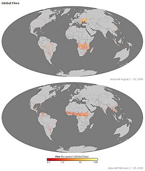 Global Fires - August and February 2008