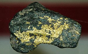 Gold & roscoelite (Stuckslacker Mine, Coloma, California, USA) (16562912783)
